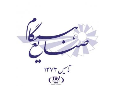 طراحی سایت‌ در تهران-طراحی و ساخت  ممبرین سوئیچ   و چاپ صنعتی