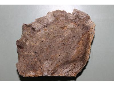 بورس و عرضه انواع سنگ تراورتن و مرمریت در تهران-بورس و عرضه  انواع سنگ  تراورتن و مرمریت  در تهران